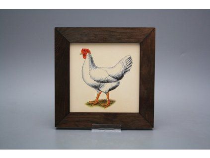 Obrázek 20x20cm Slepičky eTHB č. 1