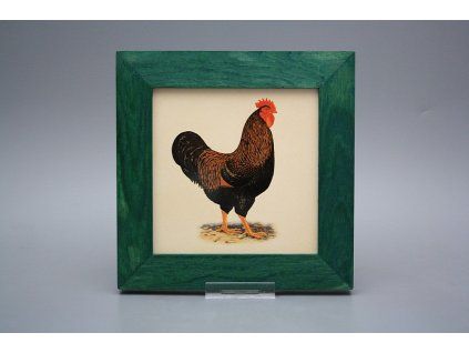 Obrázek 20x20cm Slepičky eZLB č. 1