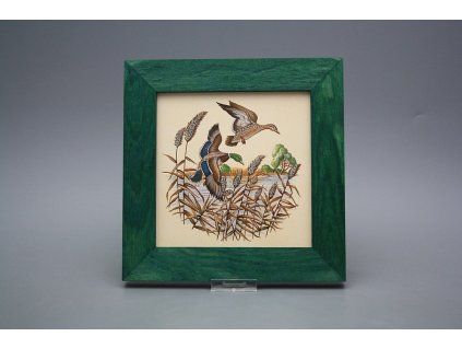 Obrázek 20x20cm Kachny eZLB č. 1