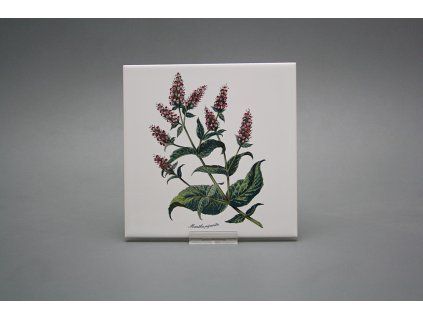 Sada obkladů 15x15cm 6dílná Herbs WL č. 1