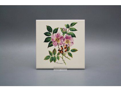 Sada obkladů 15x15cm 6dílná Herbs LBM č. 1
