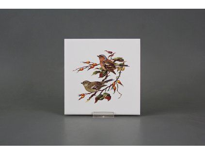 Obklad 15x15cm Pěnkava WL č. 1