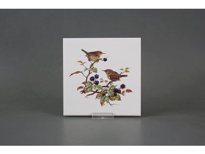 Obklad 15x15cm Střízlík WM č. 1