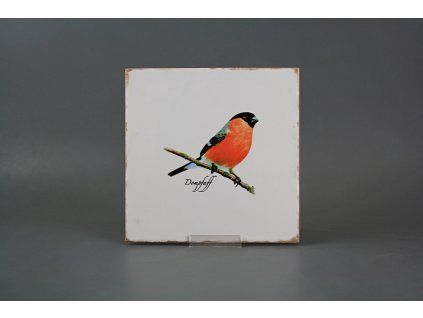 Obklad Forli Blanco 20x20cm Hýl č. 1