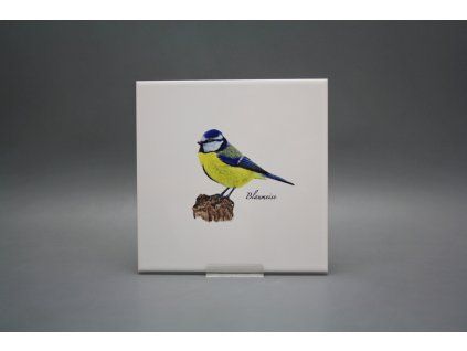 Obklad 20x20cm Modřinka WL č. 1