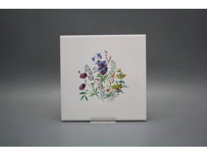 Obklad 20x20cm Kvetoucí louka motiv D WL č. 1