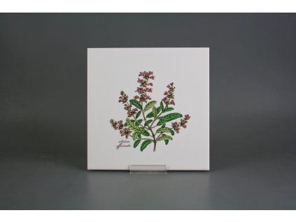 Sada obkladů 20x20cm 6dílná Herbs Classic WL č. 1