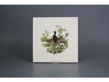 Obklad 20x20cm Bažant LBM č. 1