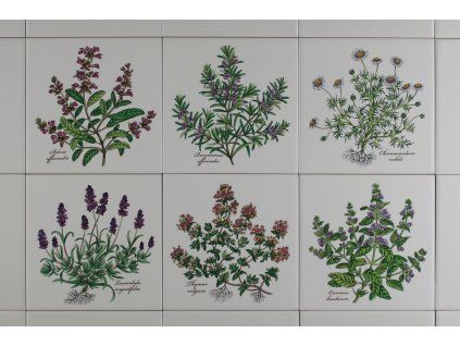 RCOBEM SADA OBKLADŮ RAKO COLOR ONE 15X15 HERB CLASSICS 6DÍLNÁ LBM