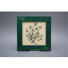 Obrázek 20x20cm Herbs eZLB č. 4
