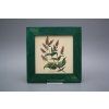 Obrázek 20x20cm Herbs eZLB č. 6