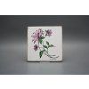 Sada obkladů Forli Blanco 15x15cm 6dílná Herbs č. 1