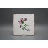 Sada obkladů Forli Blanco 20x20cm 6dílná Herbs č. 4