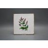 Sada obkladů Forli Blanco 20x20cm 6dílná Herbs č. 6