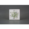 Sada obkladů 15x15cm 6dílná Herbs Classic WL č. 2