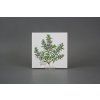 Sada obkladů 15x15cm 6dílná Herbs Classic WL č. 4