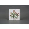 Sada obkladů 15x15cm 6dílná Herbs Classic WL č. 7