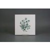 Sada obkladů 20x20cm 6dílná Herbs WL č. 1