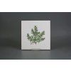 Sada obkladů 20x20cm 6dílná Herbs Classic WL č. 2