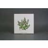 Sada obkladů 20x20cm 6dílná Herbs Classic WL č. 4