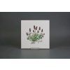 Sada obkladů 20x20cm 6dílná Herbs Classic WL č. 6